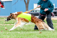 2 Finals Borzoi Open, Bene-9354