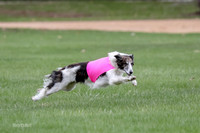 2 Finals Fch, Joker Finnegan-0092
