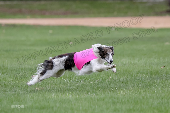 2 Finals Fch, Joker Finnegan-0092
