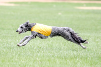 1 Prelims LCI Ellie-0045