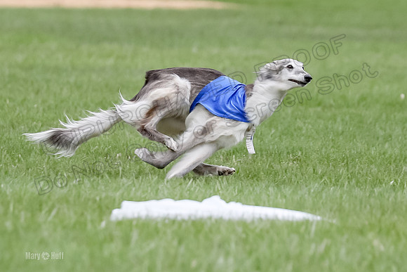 1 Prelims Silken Singles Moonshine-9829