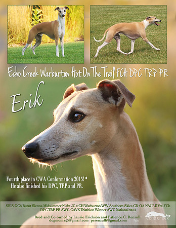 Erickson 2015