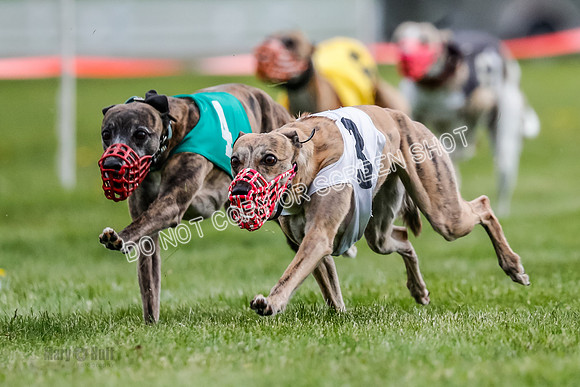 WRA, Prg 1, Race 5, Henry Eddie Deal Moki Feather Hit-8333
