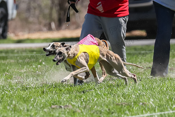 3 Finals Fch A-2, Justice Patron Thor-4982