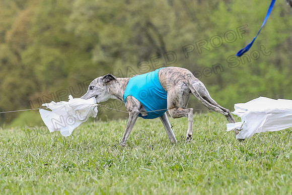 Finals Vets 5, RickyBobby Blue Jewel-2457