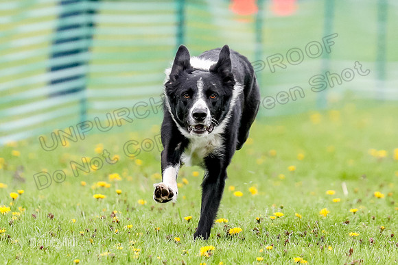 FCE4I8671