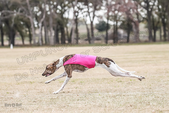 Finals Open 4 Rigel Trixie-4105