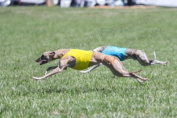 3 Finals Fch A-2, Justice Patron Thor-4997