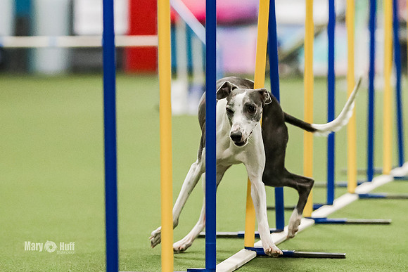AE4I0202