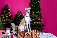 xmas Arthur-631-Edit