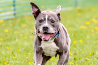 FCE4I8059
