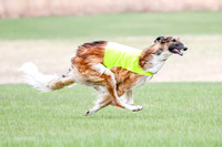 1 Prelims Borzoi Open, Bene-9194