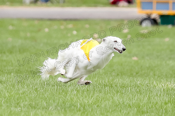 1 Prelims Silken Singles Arthur-9852