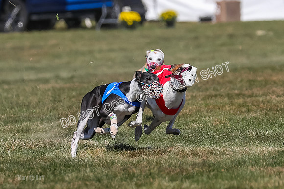 Prg 3, Race 9, Bibi Maybe Nami Rosie-2159