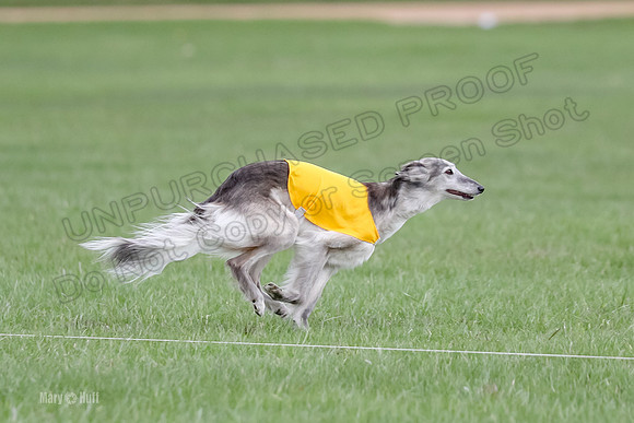 2 Finals Silken Singles Moonshine-0448