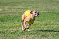 Prelims Fch 1 Islay Opal-5185
