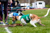 WRA, Prg 1, Race 1, Puppy, Sprig Gnocchi-8242