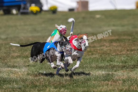 Prg 3, Race 9, Bibi Maybe Nami Rosie-2160