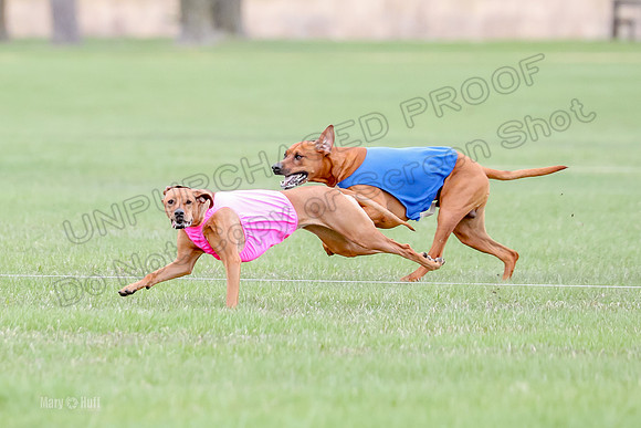 1 Prelim RR Open 1, Islay Kya Ace-9125