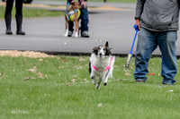 2 Finals Fch, Joker Finnegan-0086