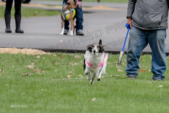 2 Finals Fch, Joker Finnegan-0086
