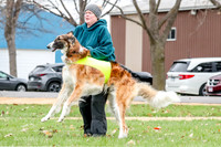 2 Finals Borzoi Open, Bene-9345