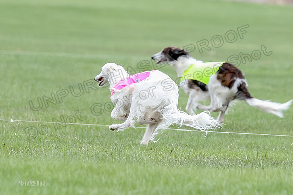 1 Prelims Fch, Finnegan Joker-9463