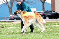 2 Finals Borzoi Open, Bene-9349