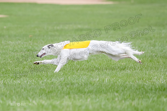 1 Prelims Silken Singles Arthur-9876
