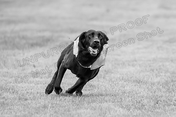 Prelims Rowan-0870-2