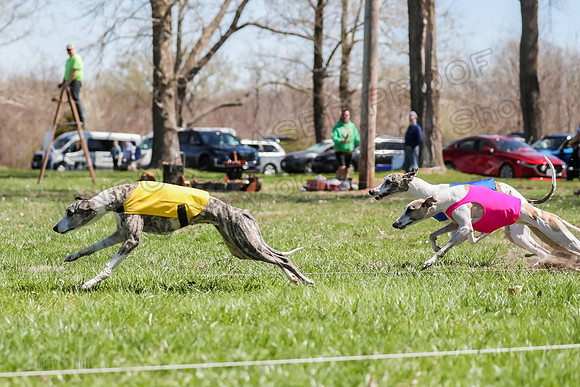 2 Finals Open A-1, Smoke Shimmy Sonic-4063