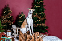 xmas Arthur-632-Edit