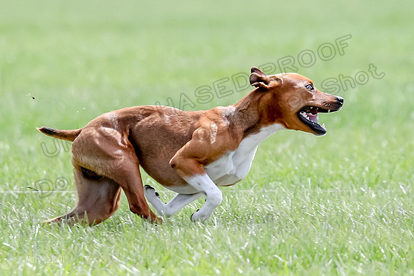 AE4I8724