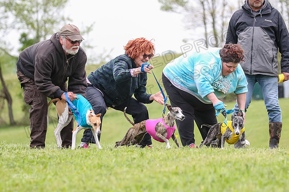 Prelim Fch 1,  Prim Shelby Ember-5111