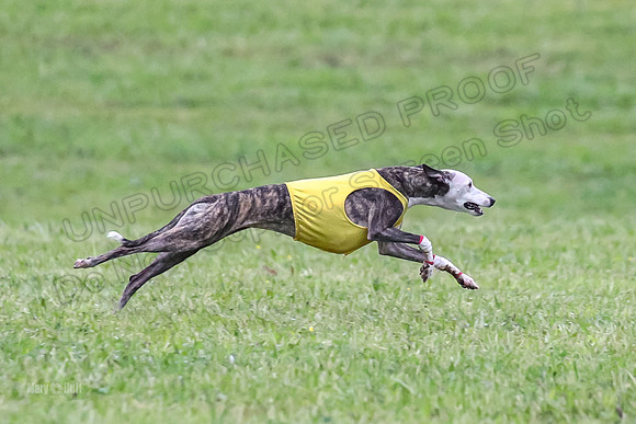 Prelim Open B1, Prudence Rosa Zelda-8402