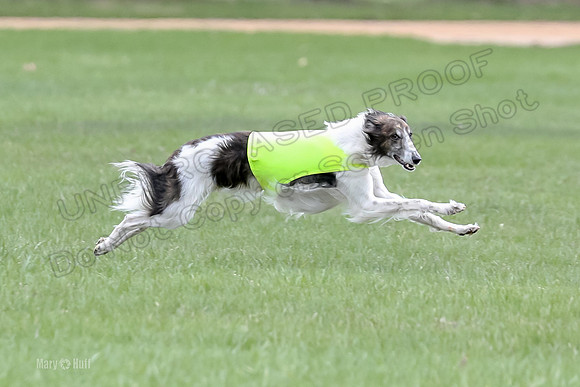1 Prelims Fch, Finnegan Joker-9445