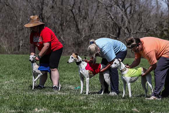 2 Finals Veterans A-2, Suni Mudbug Seven-0880