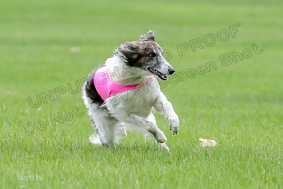 2 Finals Fch, Joker Finnegan-0115