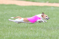 1 Prelims LCI Rocki Girl-9733
