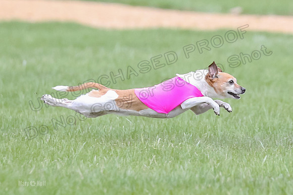 1 Prelims LCI Rocki Girl-9733