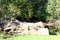 5C7A1150