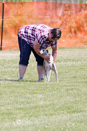 6N1A0356