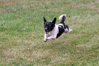 Michalski