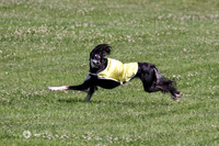 FCH Saluki PRELIM