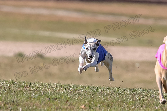 Finals Open 2 Fennec Keegan AnnieOakley-3900