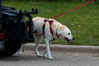 L3 Vehicle-7217