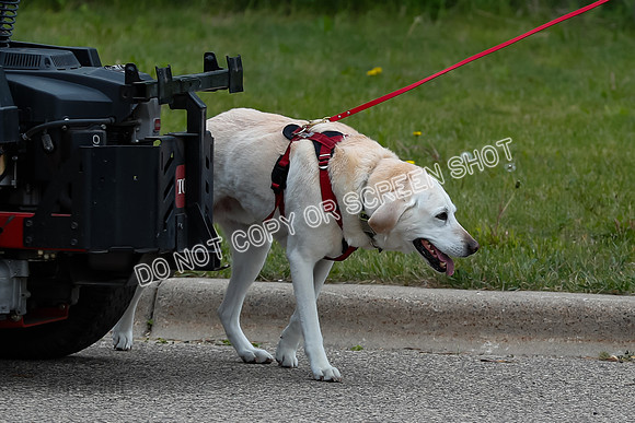 L3 Vehicle-7217