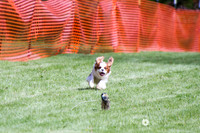 IMG_0761