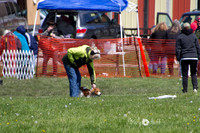 IMG_1185