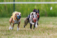 Prg 2, Race 4, Marty, Bogie, Denim, Meatloaf, Blaze, Raz-2-7